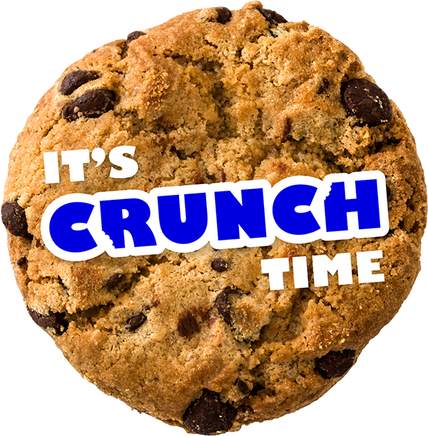 Huge chocolate chip cookie