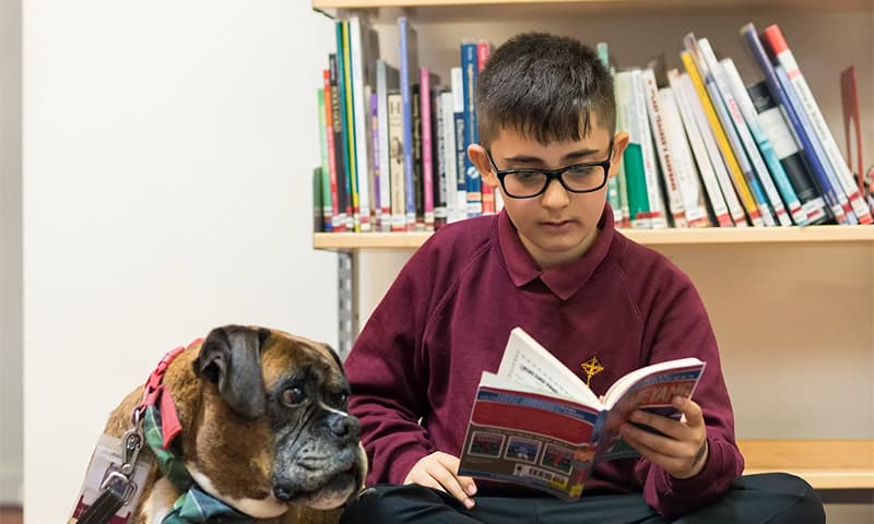Child reading book with dog watching him